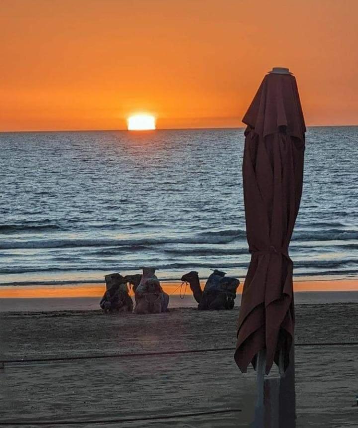 Appartement Deluxe Avec Piscine Privee Agadir Eksteriør bilde