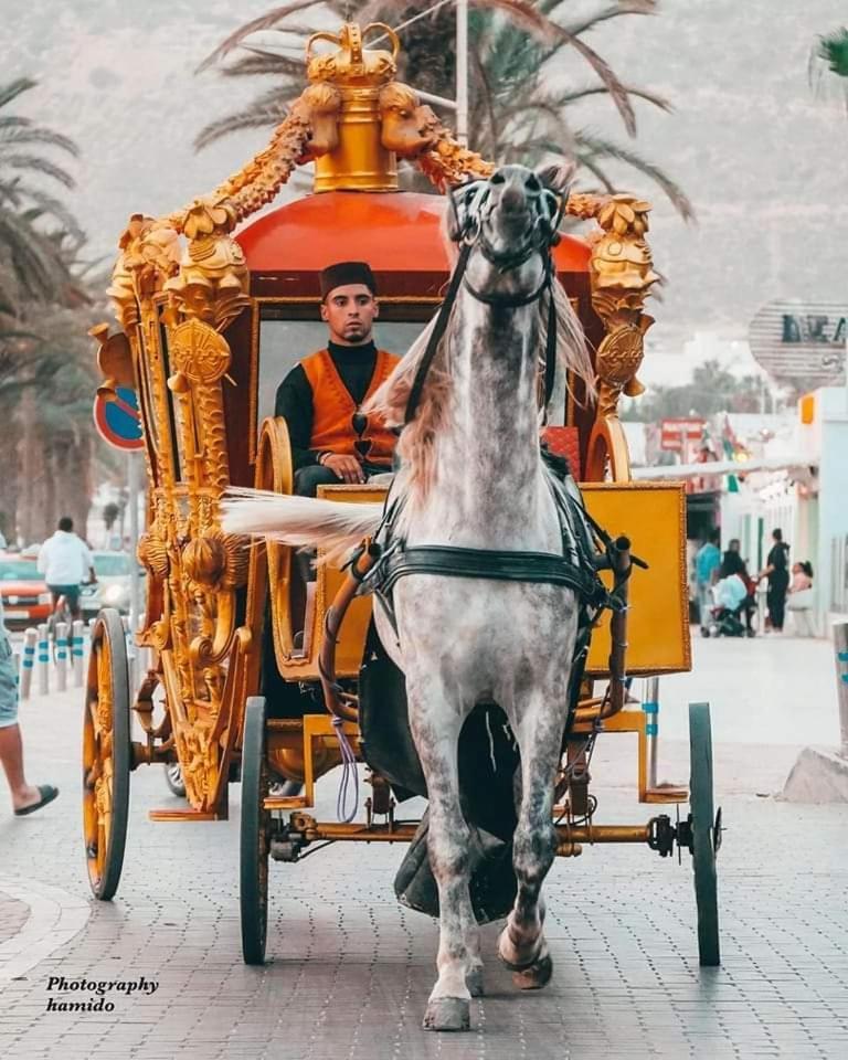 Appartement Deluxe Avec Piscine Privee Agadir Eksteriør bilde