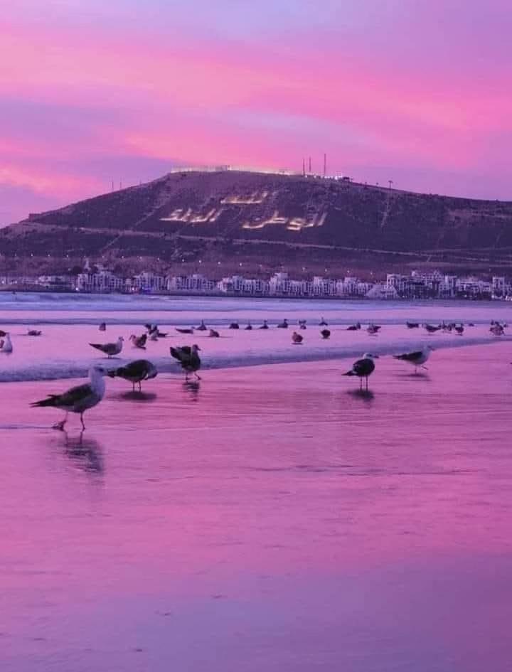 Appartement Deluxe Avec Piscine Privee Agadir Eksteriør bilde
